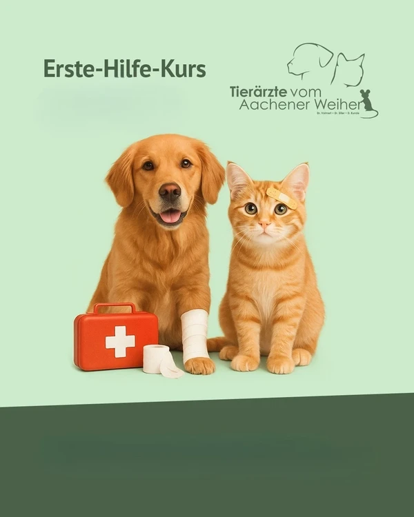 Erste-Hilfe-Kurs für Hund und Katze in Köln