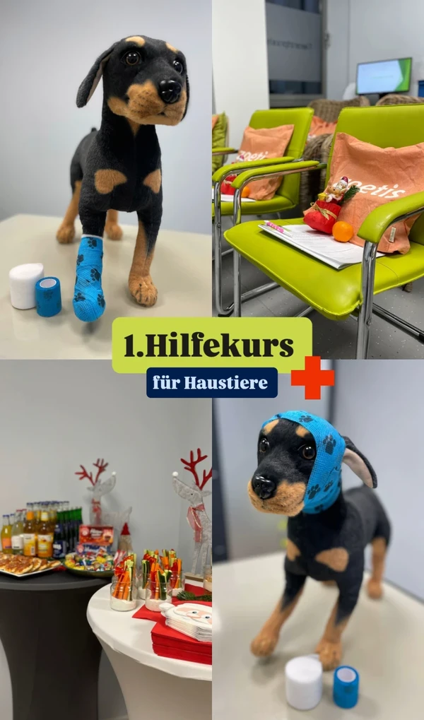 Erster Erste-Hilfe-Kurs in unserer Tierarztpraxis – Ein voller Erfolg!