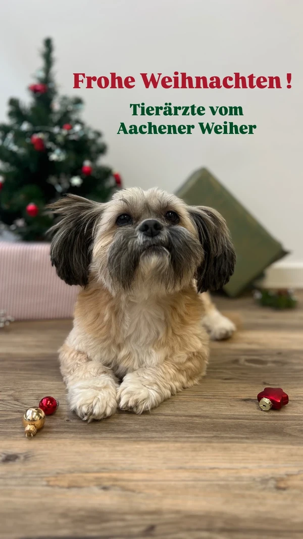 Frohe Weihnachten