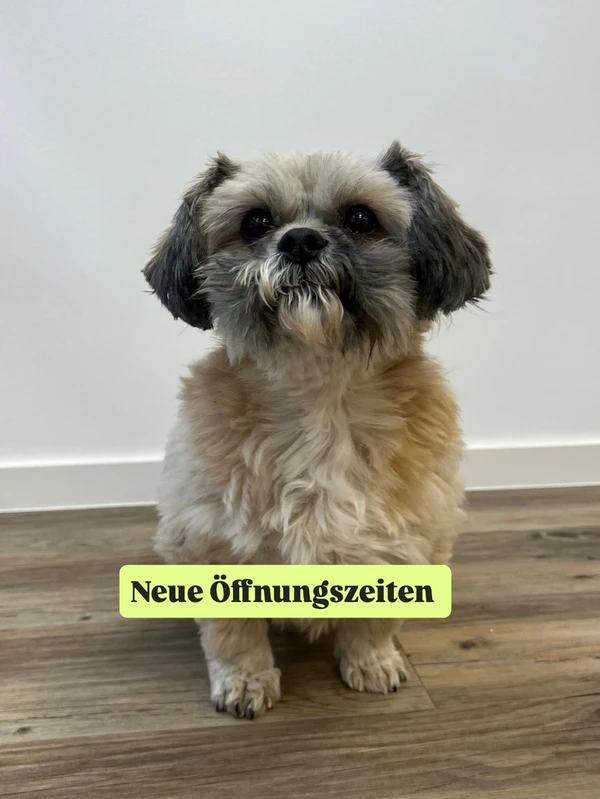 Neue Praxiszeiten ab 30. März