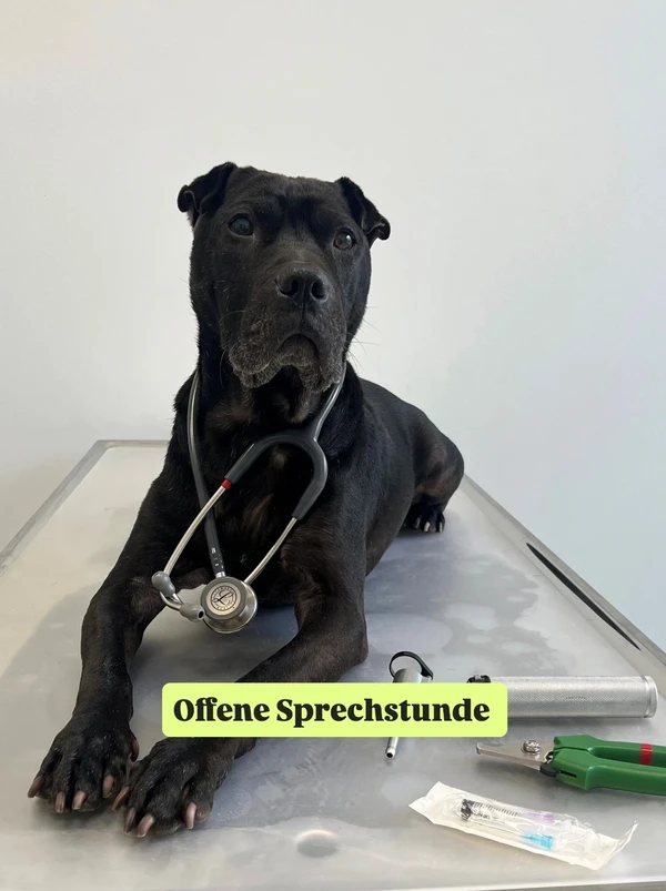 Offene Sprechstunde ab 09. März