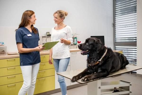 Offene Sprechstunde – ohne Termin!